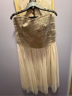 NWOT Strapless Beaded Ivory/Taupe Party Dress